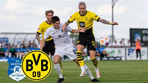 Merry Bet Com: Guide to Online Sports Betting